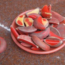 木製の赤い三日月型でおみくじをします