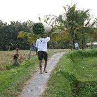 狭い道   譲り合いながら  進みます