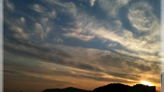 北極熊水泳大会