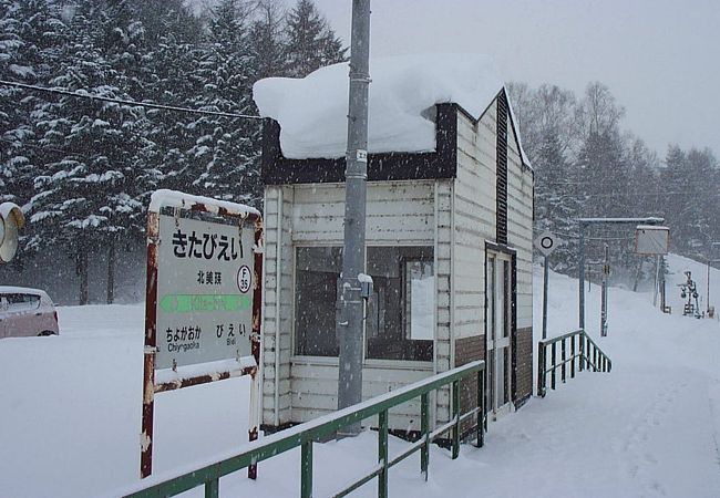 この駅におりて何を感じる？