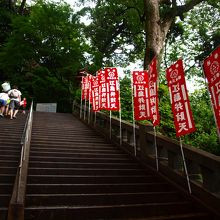 階段を上って向かいます