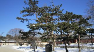 雪の積もった世界遺産はきれいでしたが寒すぎた。