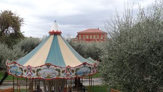 マチス好きなら必須！