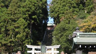 表参道の石段を上る