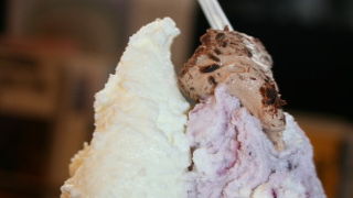 お酒のジェラート。