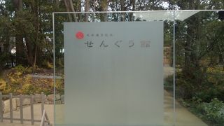 見応え十分、おすすめのせんぐう館へぜひ！