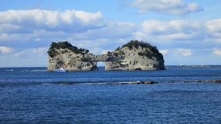 路線を選ぶとバスからしっかり眺められます。