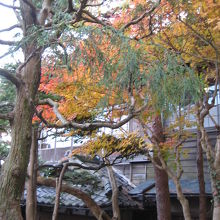 紅葉がきれいな旧亀井邸