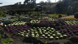一日楽しめます