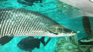 この辺では、ここくらいしか無い・・・