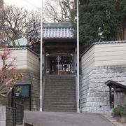 真福寺は、大山街道の宿場であった荏田村や近在の農村から信仰を集めたお寺でした。