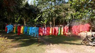 午前中は寒くて、つらいだろうと思われる水掛けショー