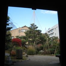 屋敷から眺める庭園