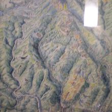 高尾山地図（高橋屋さんに飾ってありましたが、さてドコ？）