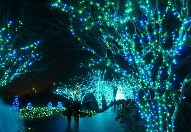 アトランタ植物園 クチコミ アクセス 営業時間 アトランタ フォートラベル