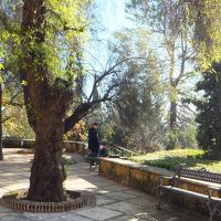 テラス下のパティオ