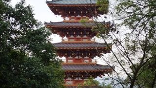 西国第二十八番 成相寺　　展望台から見る天橋立は絶景です