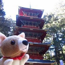 ちわみもびっくり！