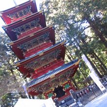 斜めで撮ってみました。