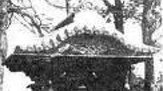 駿河大納言忠長卿の菩提寺として有名なお寺です。