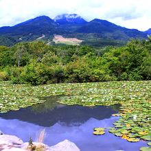 雲間から顔を覗かせた妙高山