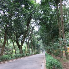 ホーチミンさんの散歩コースだったそうです