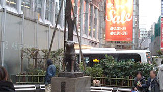 そろそろ世代交代？