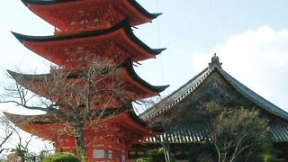 どんな季節にも鮮やか