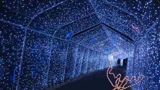 神奈川のイルミの穴場