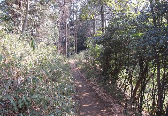 成瀬緑道は、横浜市青葉区と町田市の境界の小高い尾根道の自然が残る散策路です。 