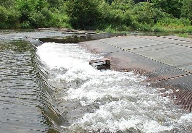 川に仕掛けられた簗（やな）