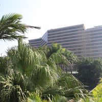 ティムシャーツイの突端にある