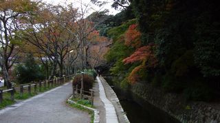 桜はみごとらしいが、紅葉も素晴らしい
