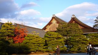 京都市内には、寺社仏閣はどこでもあるが、御所は穴場