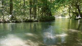 ３時間半のハイキングを楽しみました