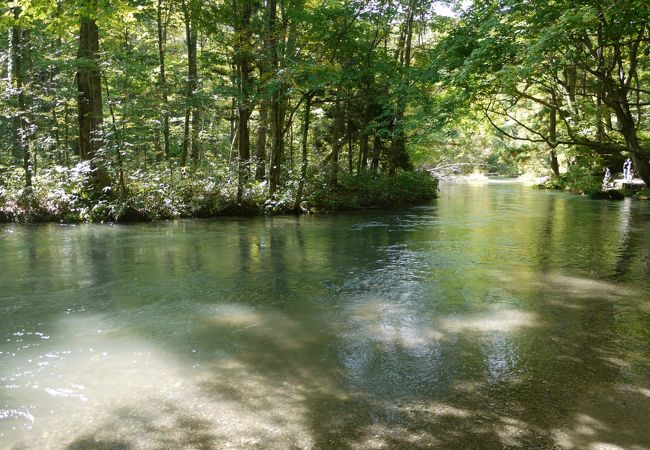 緑と水に囲まれた遊歩道でした