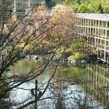 けいはんな記念公園の「日本庭園（水景園）」