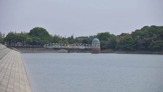 隠れた桜の名所