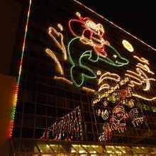 イルカが跳ねるのが可愛い