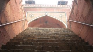 見てみて～クマに見えるでしょ～デリーのフマユーン廟 