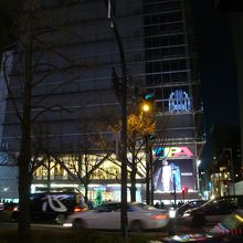 クリスマスシーズンだったのですが、ちょっと地味です。