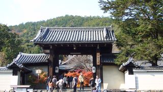 磨き上げられた廊下に映るもみじが圧巻