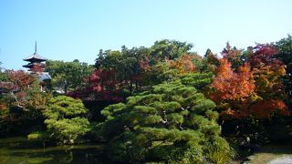 写真撮影が楽しくなる御殿