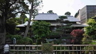 お庭が風情あり