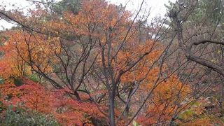 アールデコ様式が優美