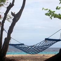 専用のハンモック