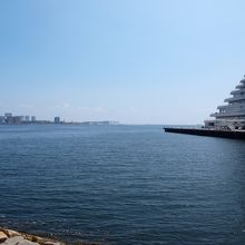 散歩だけでも十分楽しいです