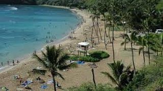 レンタカーを使って個人でも十分行けます