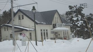 冬の大沼はスノーモビル