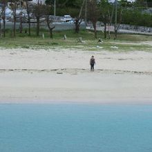 古宇利島の海岸も美しい〜♪